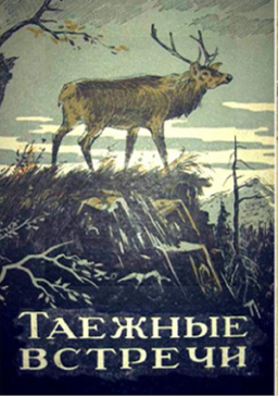 Таёжные встречи